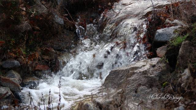 Morning Creek 2571sm