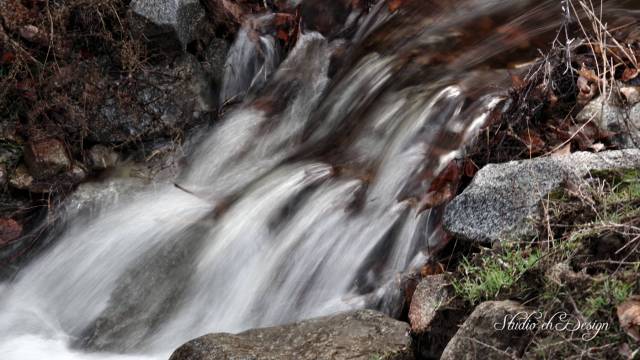 Morning Creek 2580sm