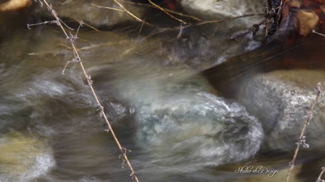 Morning Creek 2595sm