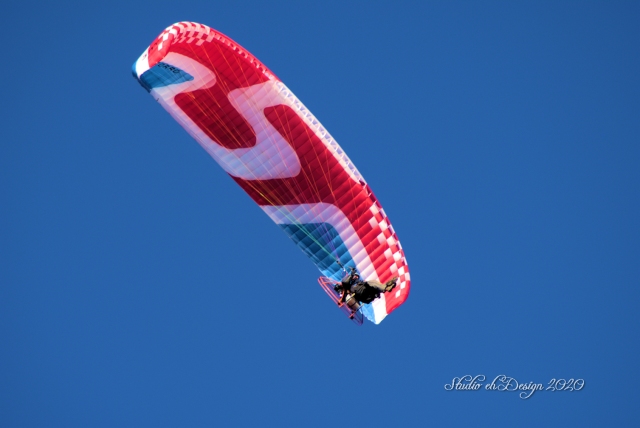 Paraglider overhead